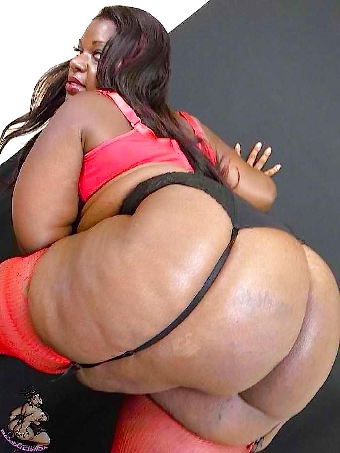 16P BBW Adult Entertainer #24 Assleigh Adams