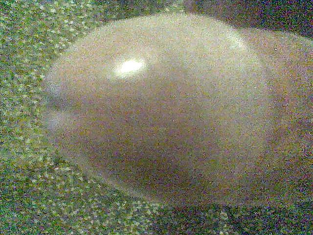 5P My real lund or dick or cock