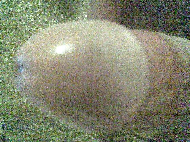 5P My real lund or dick or cock