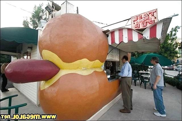 14P Funny pics