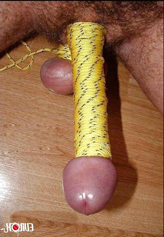14P Funny pics