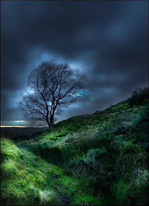 25P Songs of nature.....