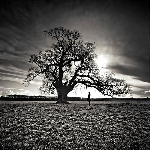 25P Songs of nature.....