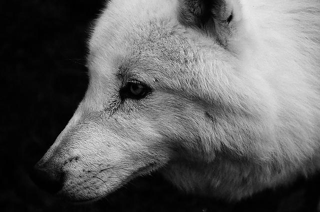 25P Songs of nature.....