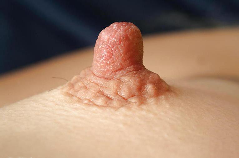 25P More Hard Nipples Part 2