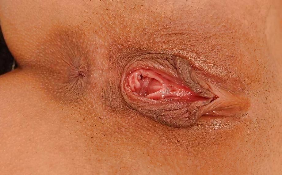 25P Pussy lips (big labia)