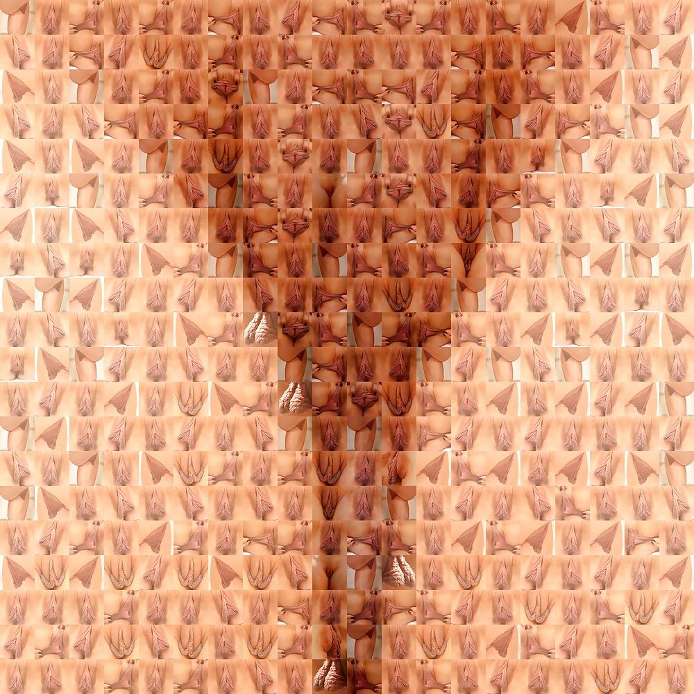 6P Large Luscious Labia (By PaulMAppart) Zoom!