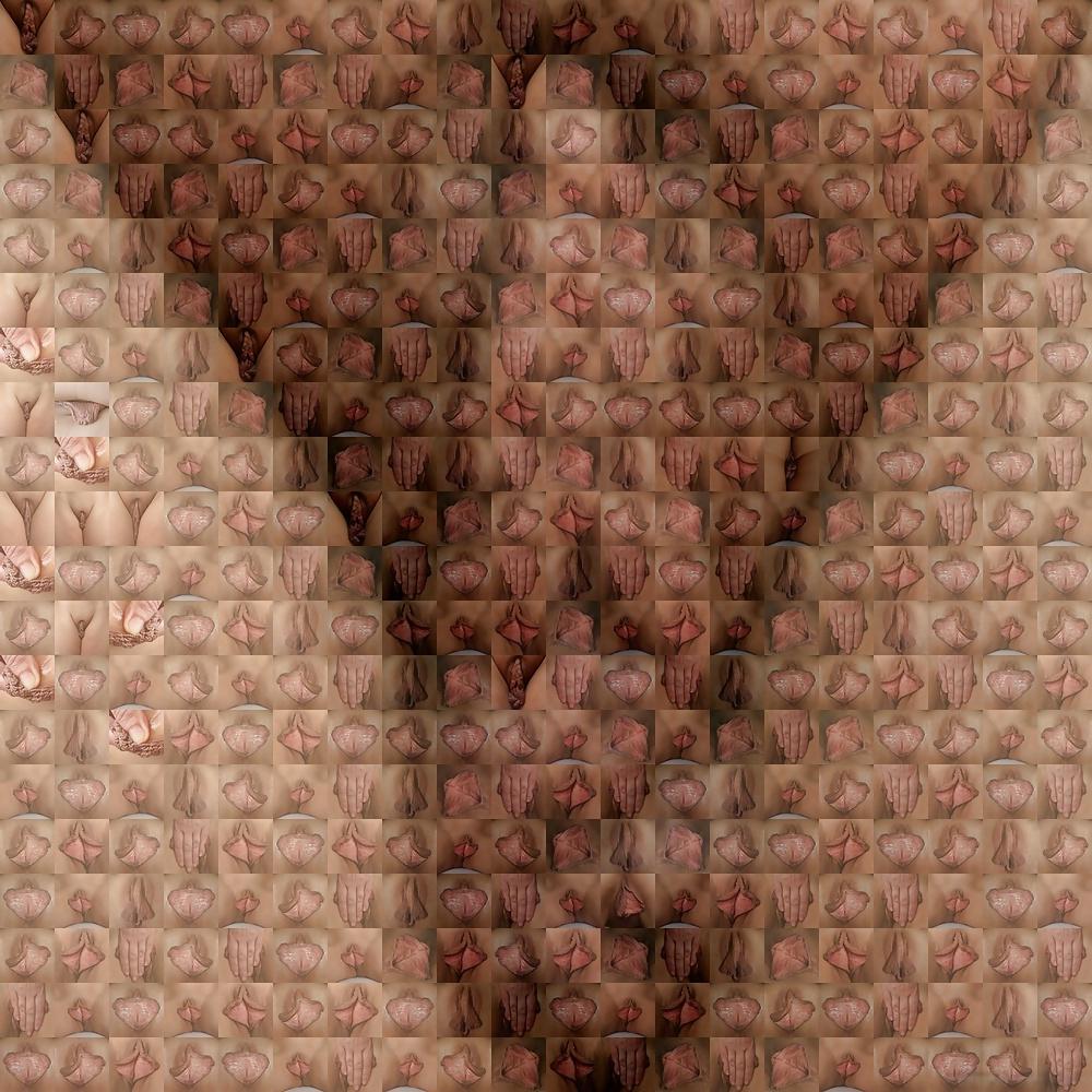 6P Large Luscious Labia (By PaulMAppart) Zoom!