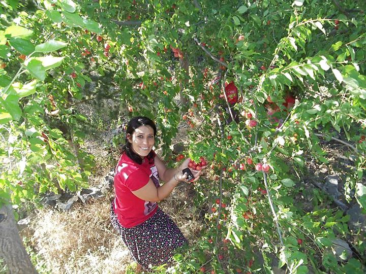 9P Turkish Hatice