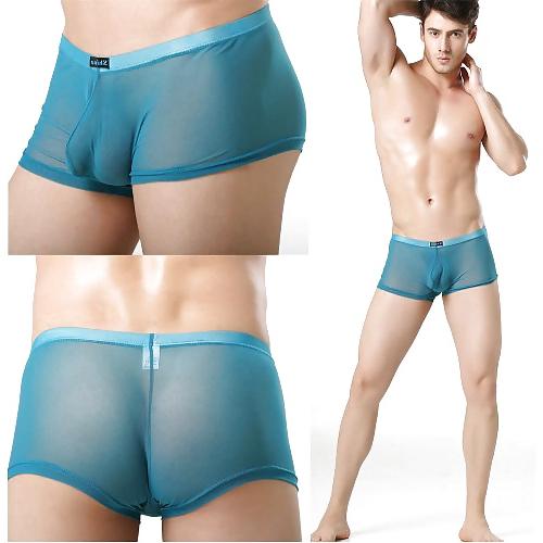 25P N2N Net Brief