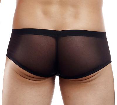 25P N2N Net Brief
