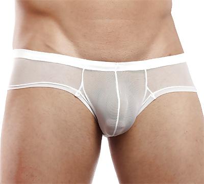 25P N2N Net Brief