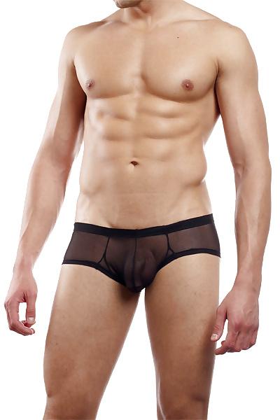 25P N2N Net Brief