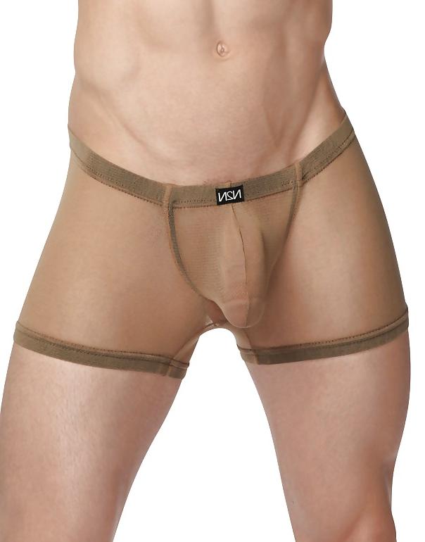 25P N2N Net Brief