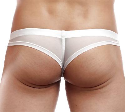 25P N2N Net Brief