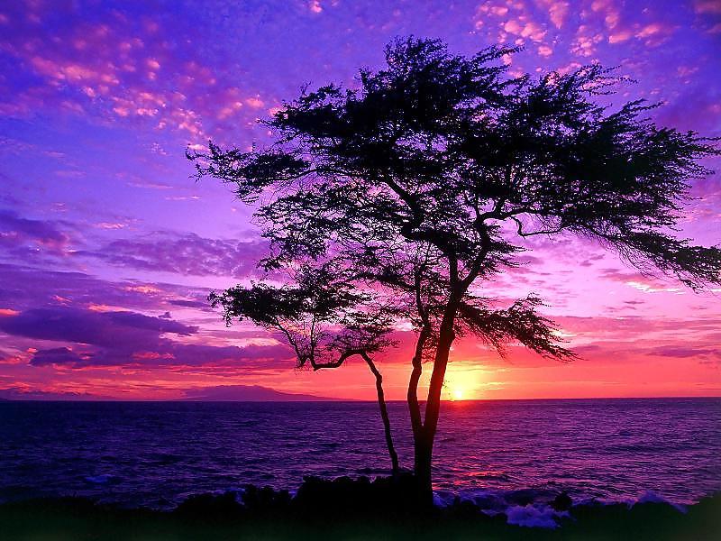 25P Beautiful Nature