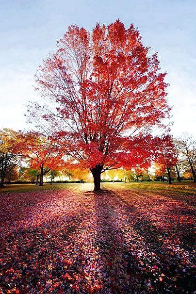25P Beautiful Nature