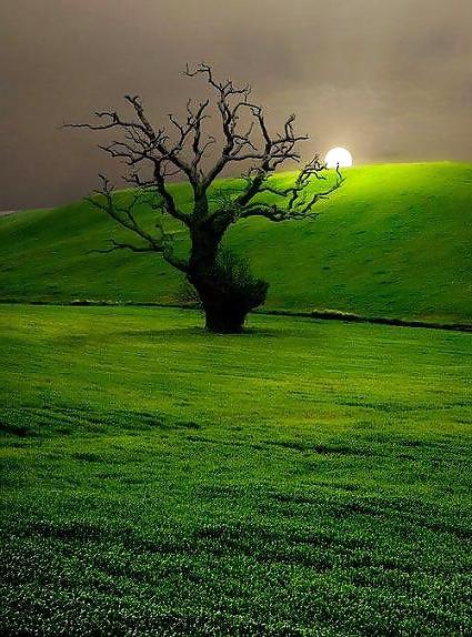 25P Beautiful Nature