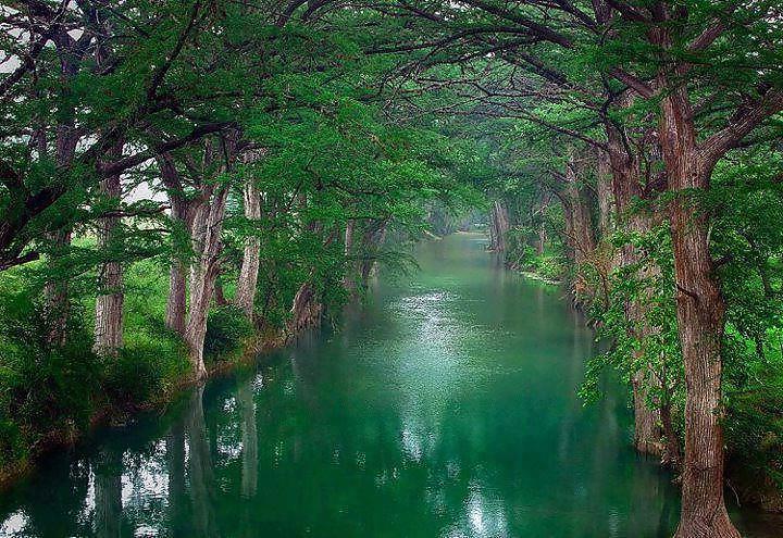 25P Beautiful Nature