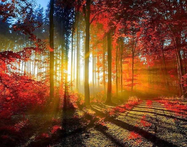 25P Beautiful Nature