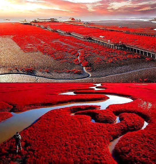 25P Beautiful Nature