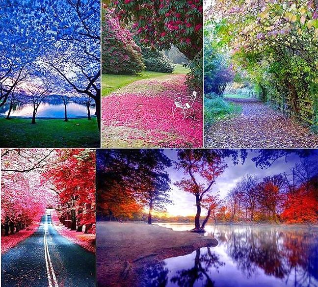 25P Beautiful Nature