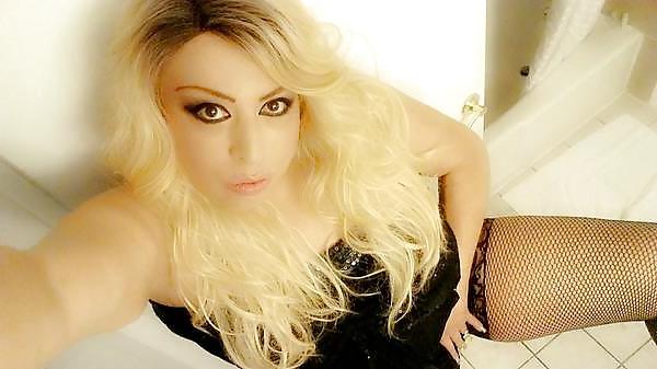 25P Tranny cocksuckers are the best