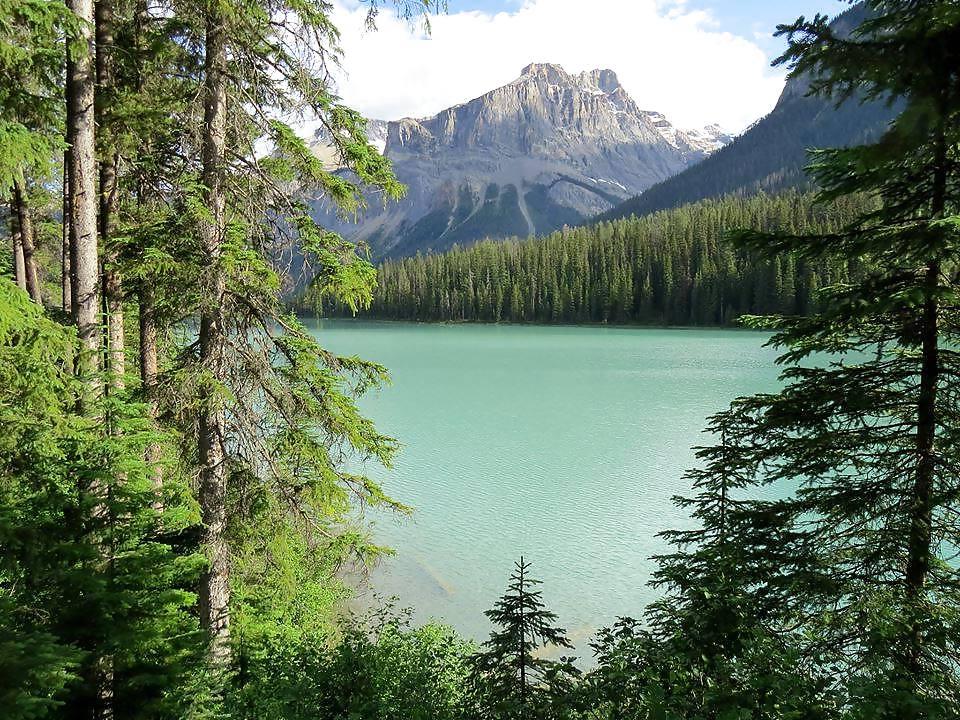 16P Nature is cheaper than therapy