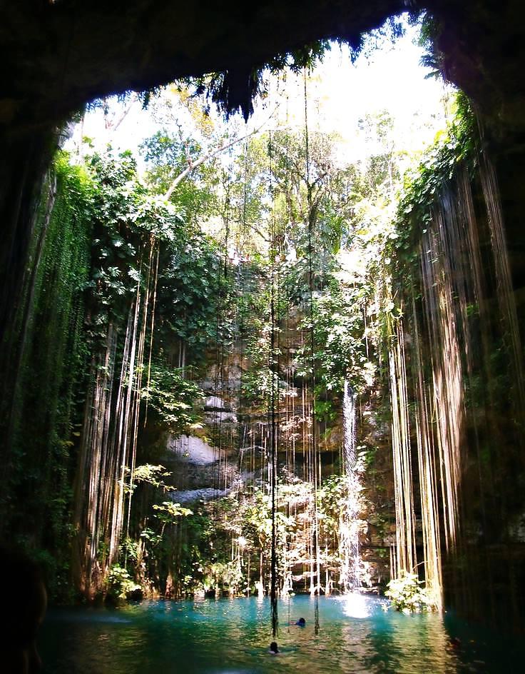 16P Nature is cheaper than therapy