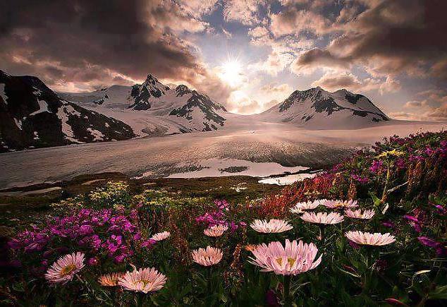 16P Nature is cheaper than therapy