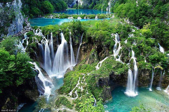 16P Nature is cheaper than therapy