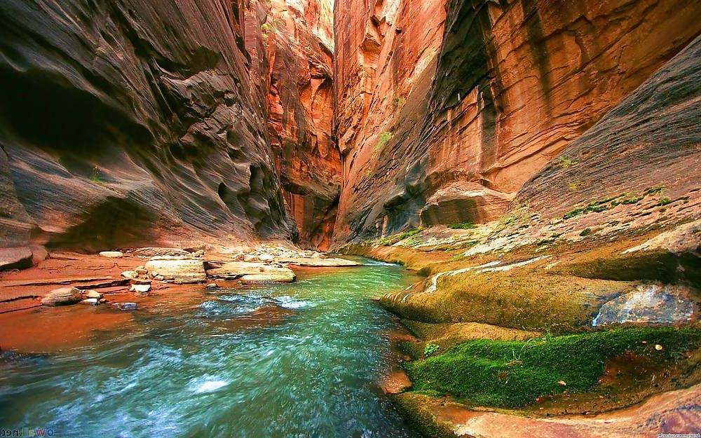 16P Nature is cheaper than therapy