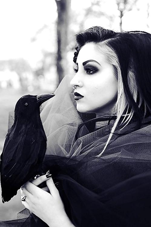 24P A Gothic Touch.