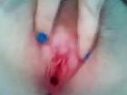 25P Shorter University Of Georgia Southern  playing with dildo