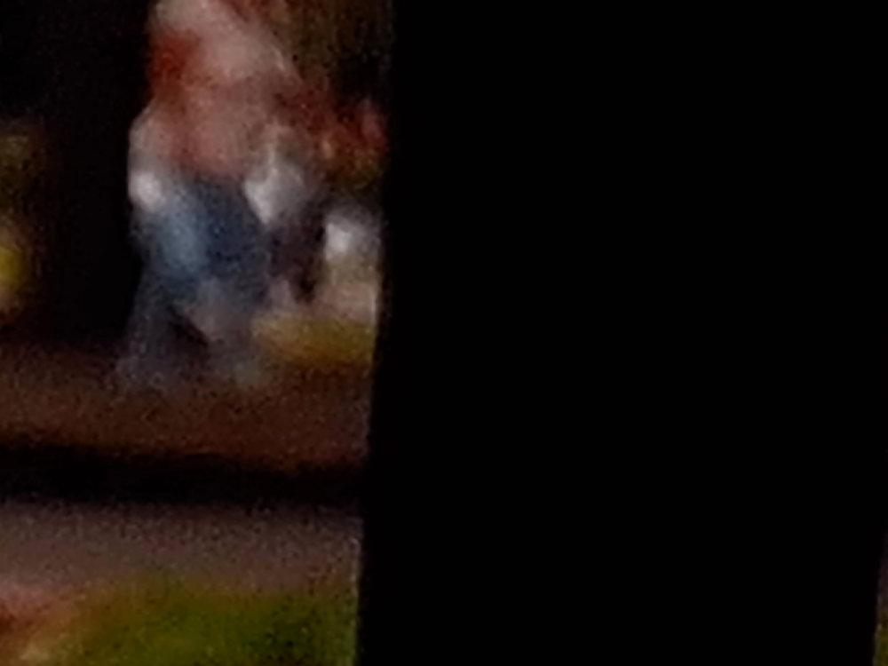 15P Bbw from the backside