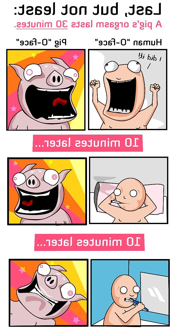25P From the Moshe Files: Orgasm Humor