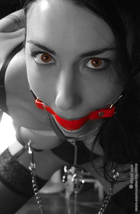 25P Nipple Clamps 4!