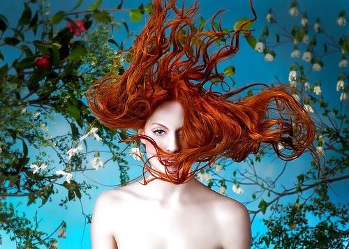 25P Redheads, red hair, softcore red headed beauties.