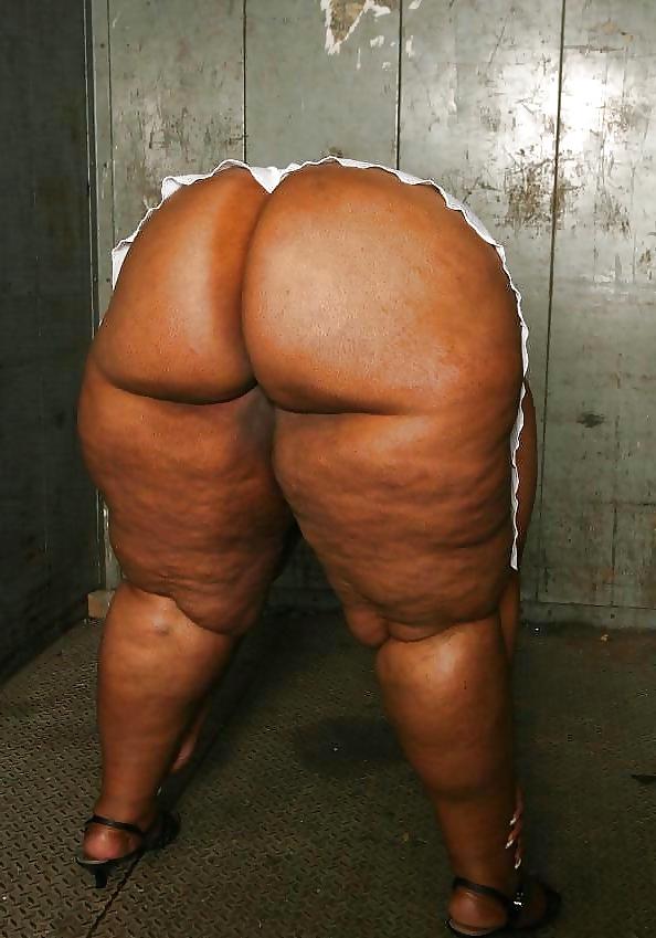 25P BBW & SSBBW Asses Collection #3