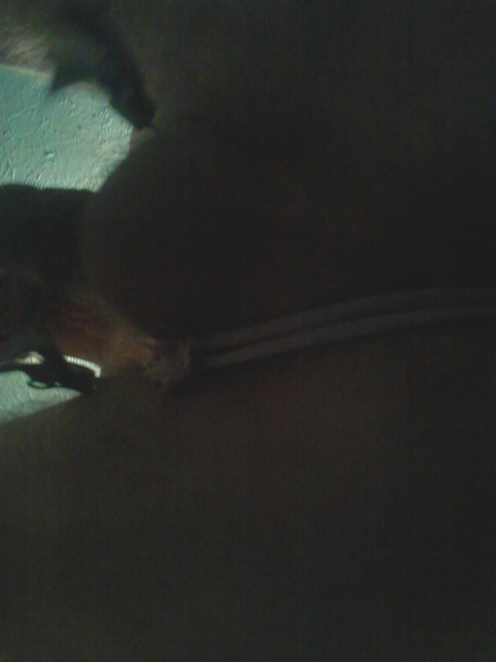 16P WEARING BBW UNDERWEAR AFTER WATCHIN HER  FUCKED