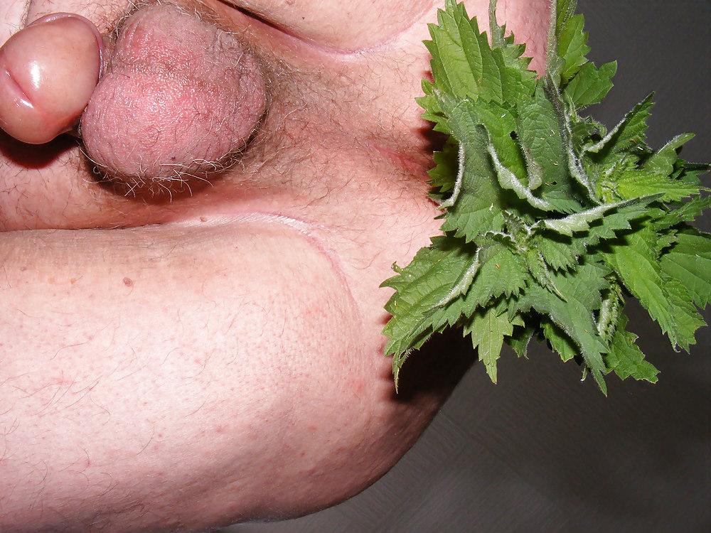 25P Orties or nettle3