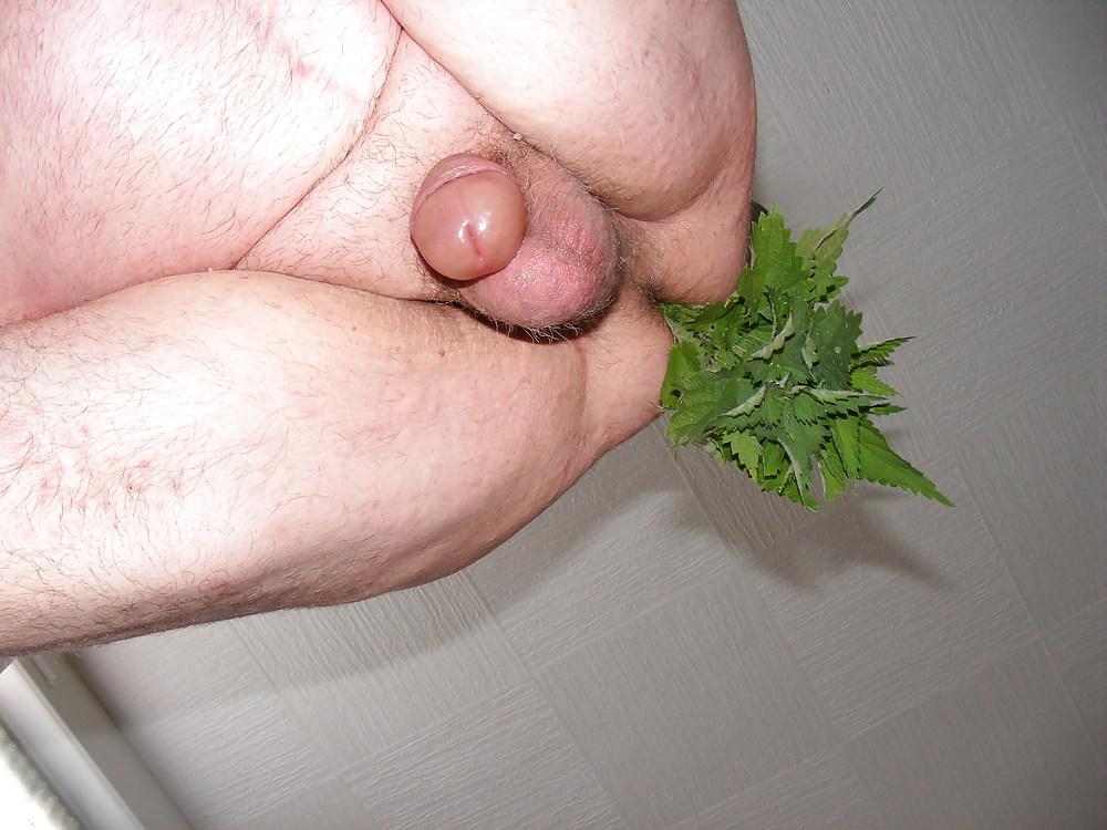 25P Orties or nettle3