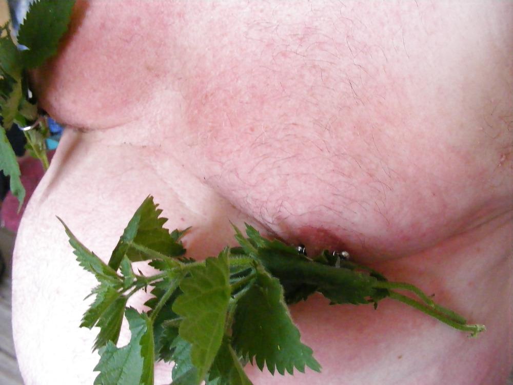25P Orties or nettle3
