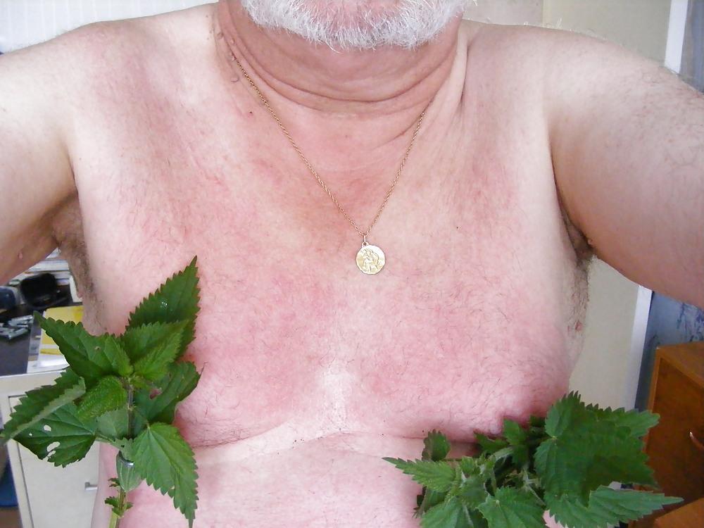 25P Orties or nettle3
