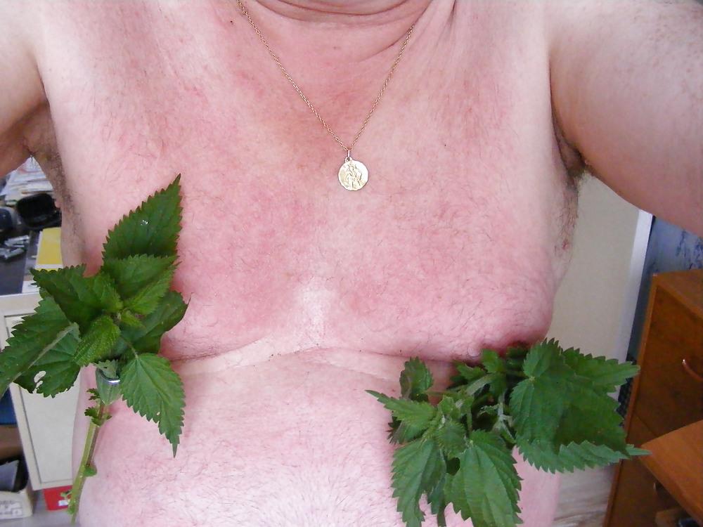 25P Orties or nettle3