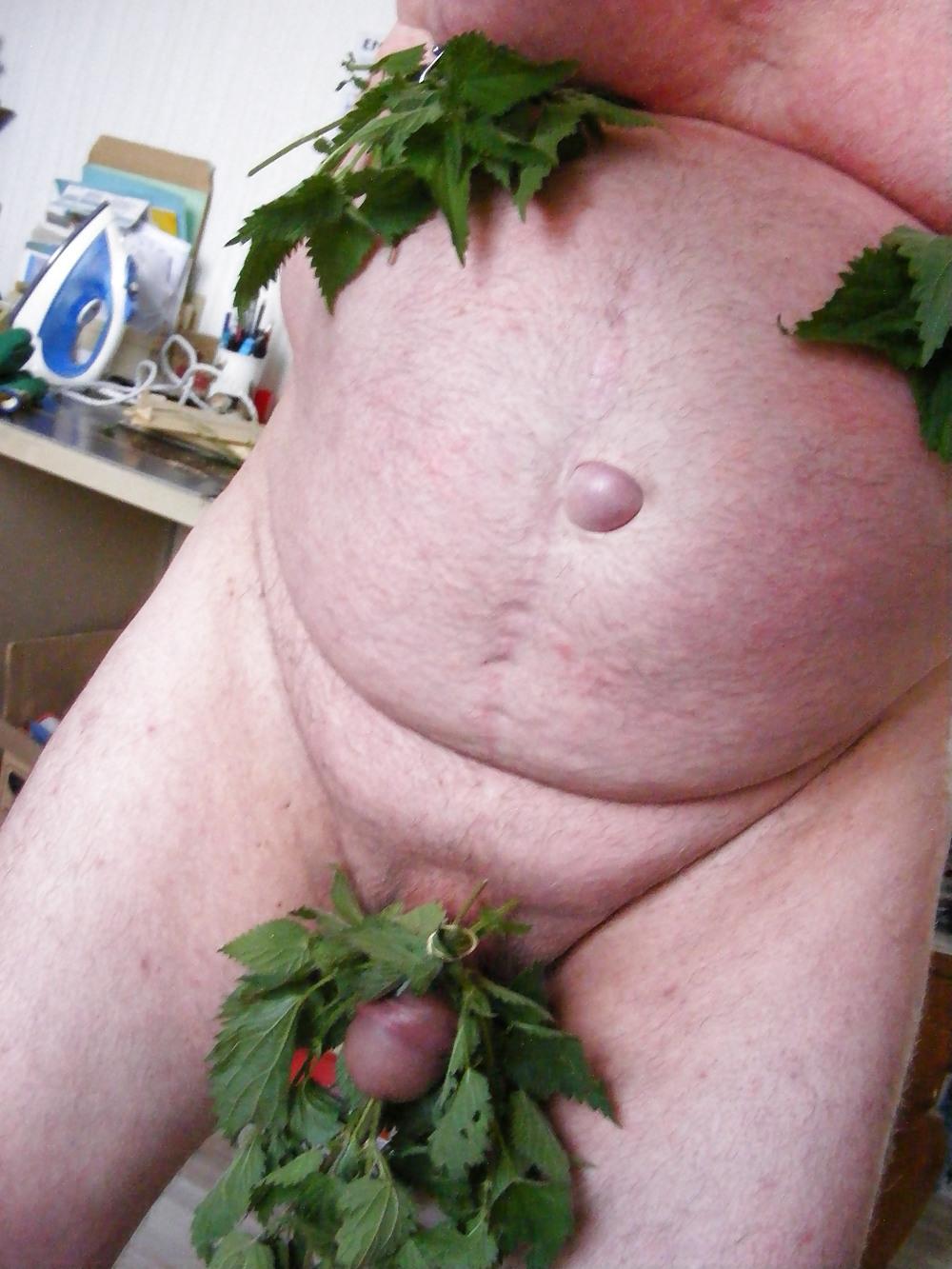 25P Orties or nettle3