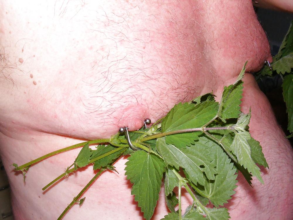 25P Orties or nettle3