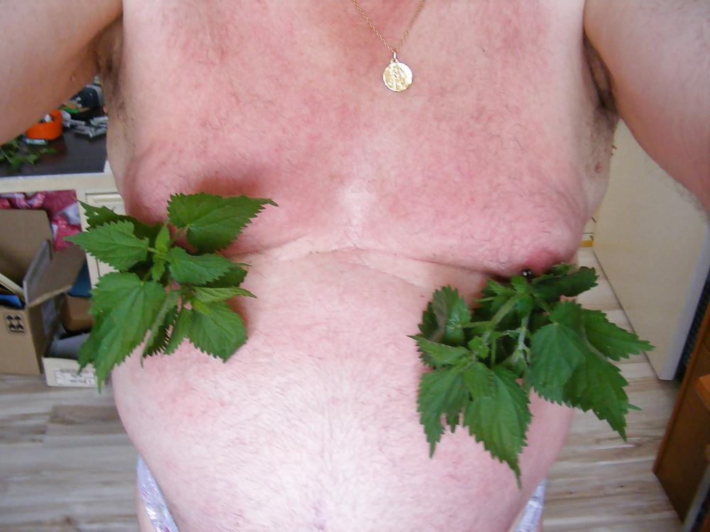 25P Orties or nettle3