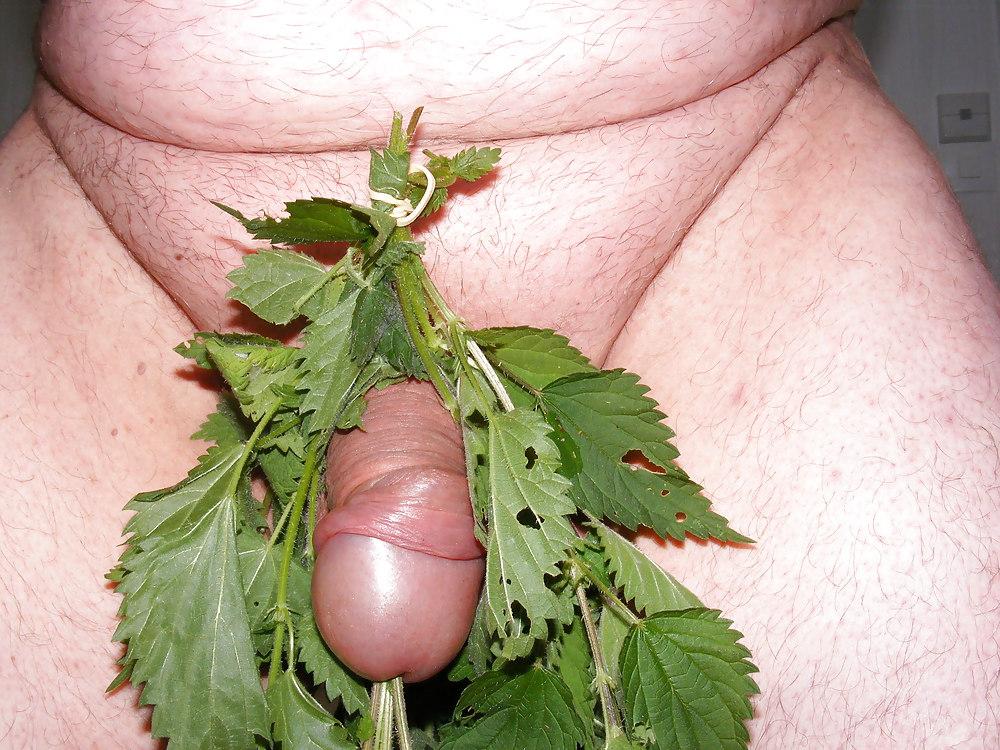 25P Orties or nettle3