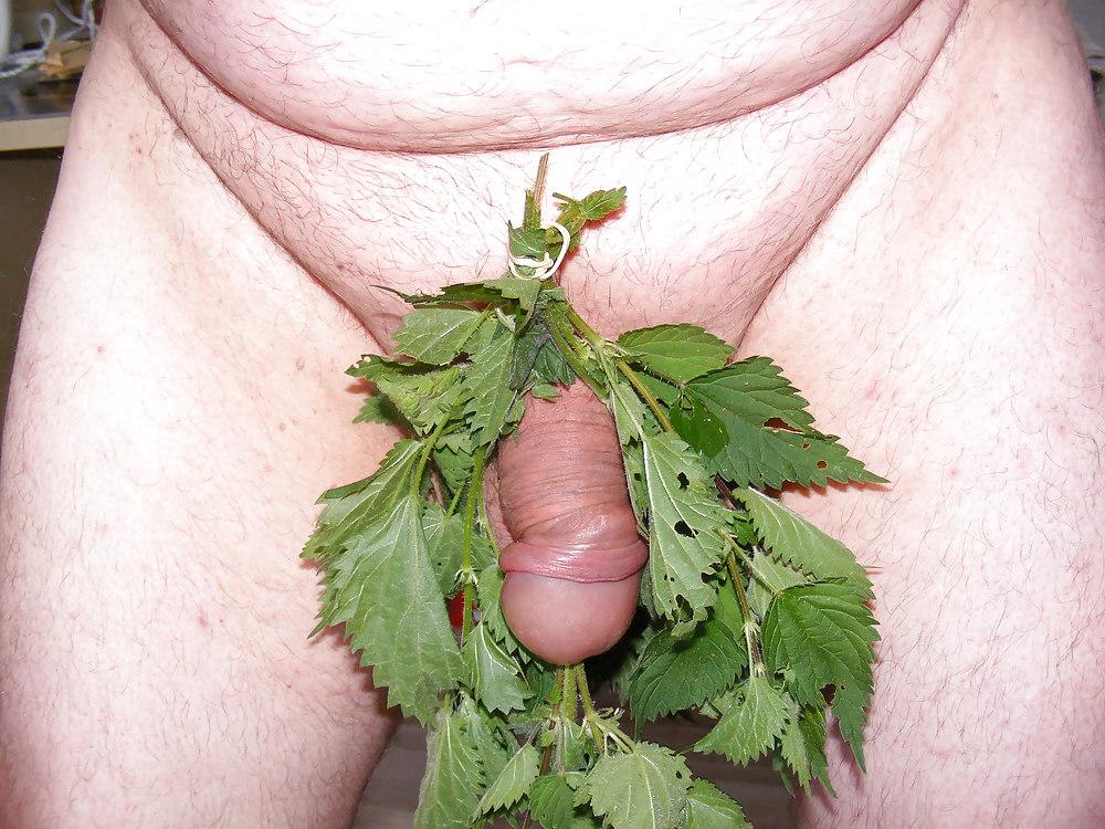 25P Orties or nettle3